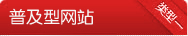 普及型网站