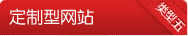 定制型网站